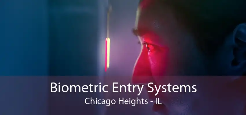 Biometric Entry Systems Chicago Heights - IL